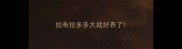 拉布拉多多大就好养了