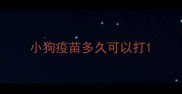 小狗疫苗多久可以打