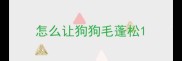 怎么让狗狗毛蓬松