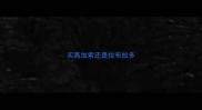 买高加索还是拉布拉多