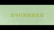 法斗打完疫苗反应