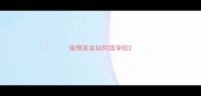 宠物美容如何选学校