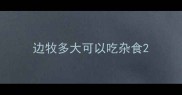 边牧多大可以吃杂食