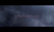 拉布拉多咬狗怎么训