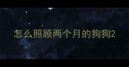 怎么照顾两个月的狗狗