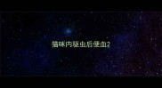 猫咪内驱虫后便血