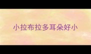 小拉布拉多耳朵好小
