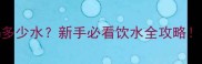 金毛幼犬每天喝多少水新手必看饮水全攻略养宠人必存干货
