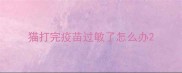 猫打完疫苗过敏了怎么办