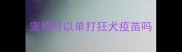 宠物可以单打狂犬疫苗吗