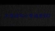 大泰迪和小泰迪差别