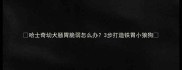 哈士奇幼犬肠胃脆弱怎么办3步打造铁胃小狼狗