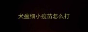 犬瘟细小疫苗怎么打
