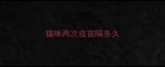 猫咪两次疫苗隔多久