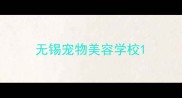 无锡宠物美容学校