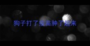 狗子打了疫苗肿了起来