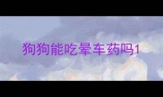 狗狗能吃晕车药吗