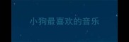 小狗最喜欢的音乐