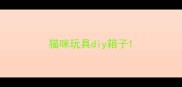 猫咪玩具diy箱子