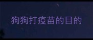 狗狗打疫苗的目的