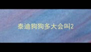 泰迪狗狗多大会叫