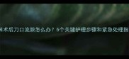 猫咪术后刀口流脓怎么办5个关键护理步骤和紧急处理指南
