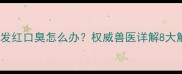 金毛牙龈发红口臭怎么办权威兽医详解8大解决方法