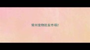常州宠物批发市场