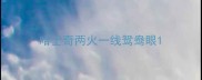 哈士奇两火一线鸳鸯眼