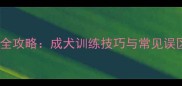 边境牧羊犬如厕训练全攻略成犬训练技巧与常见误区附训练时间表