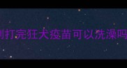 刚打完狂犬疫苗可以洗澡吗