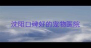 沈阳口碑好的宠物医院