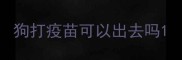 狗打疫苗可以出去吗
