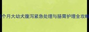 两个月大幼犬腹泻紧急处理与肠胃护理全攻略