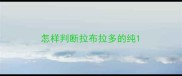 怎样判断拉布拉多的纯