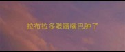拉布拉多眼睛嘴巴肿了