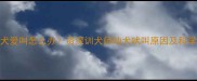 金毛幼犬爱叫怎么办资深训犬师幼犬吠叫原因及科学训练法