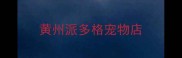 黄州派多格宠物店
