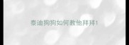 泰迪狗狗如何教他拜拜
