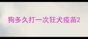 狗多久打一次狂犬疫苗