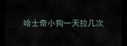 哈士奇小狗一天拉几次