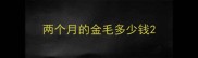 两个月的金毛多少钱