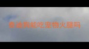 泰迪狗能吃宠物火腿吗