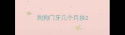 狗狗门牙几个月换