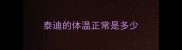 泰迪的体温正常是多少