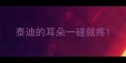 泰迪的耳朵一碰就疼