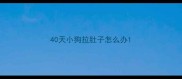 40天小狗拉肚子怎么办