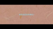 狗基础疫苗有哪些