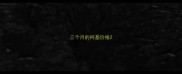 三个月的柯基价格