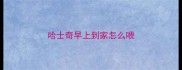 哈士奇早上到家怎么喂